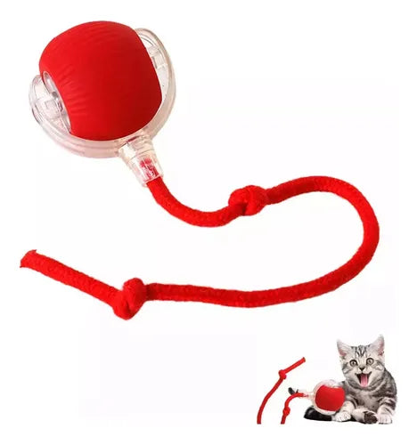 PawSense Ball - Pelota Inteligente para mascota