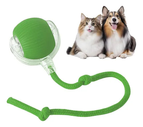 PawSense Ball - Pelota Inteligente para mascota