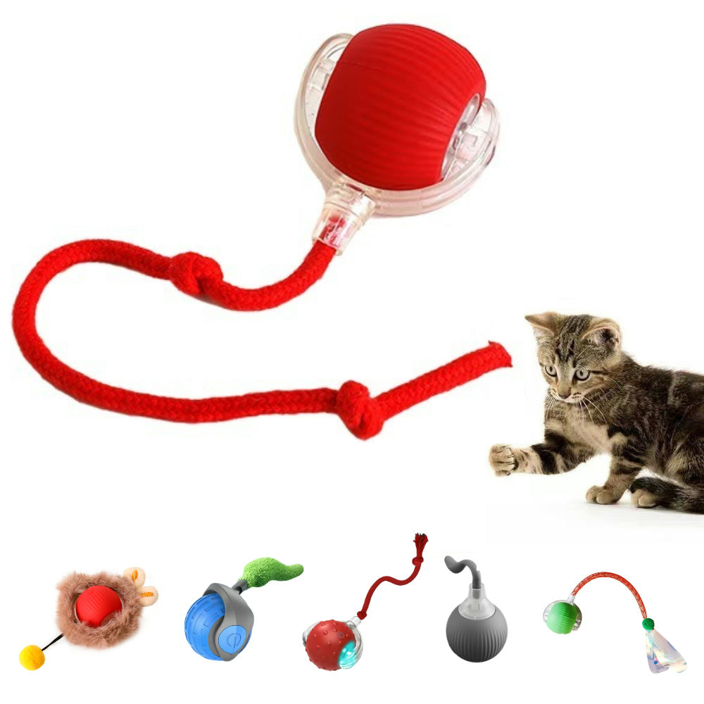 PawSense Ball - Pelota Inteligente para mascota