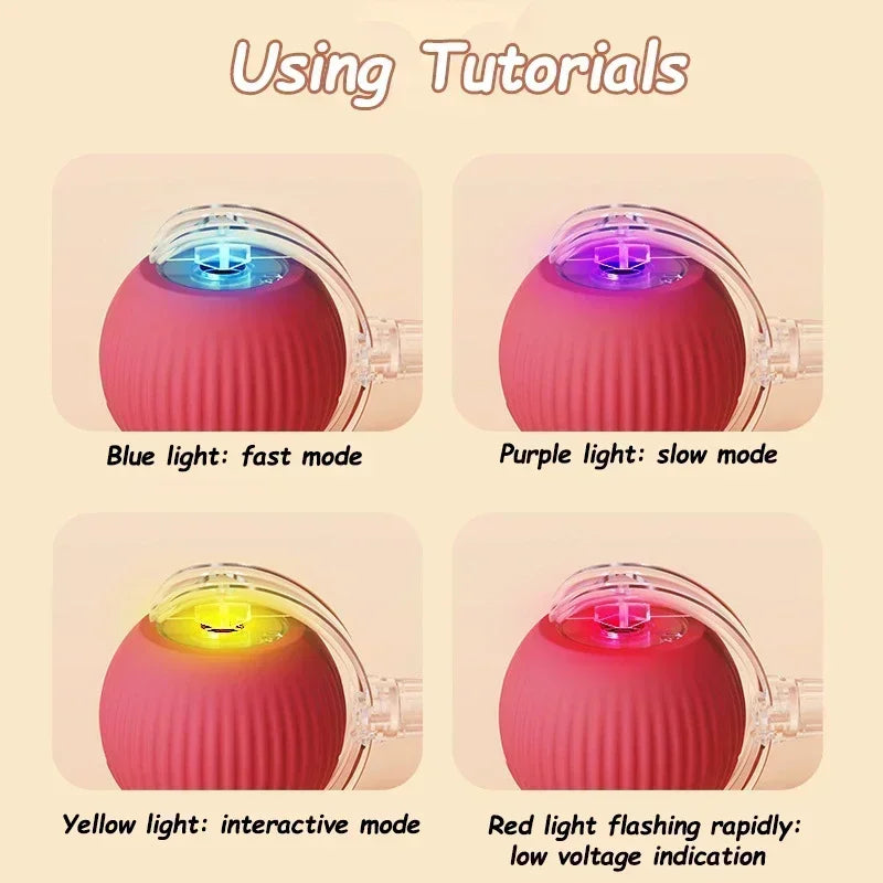 PawSense Ball - Pelota Inteligente para mascota